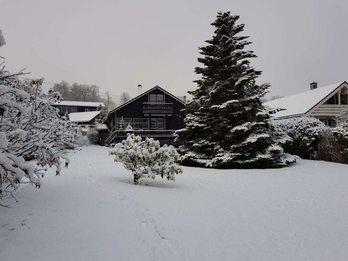 Peak Apartments Voss Esterno foto